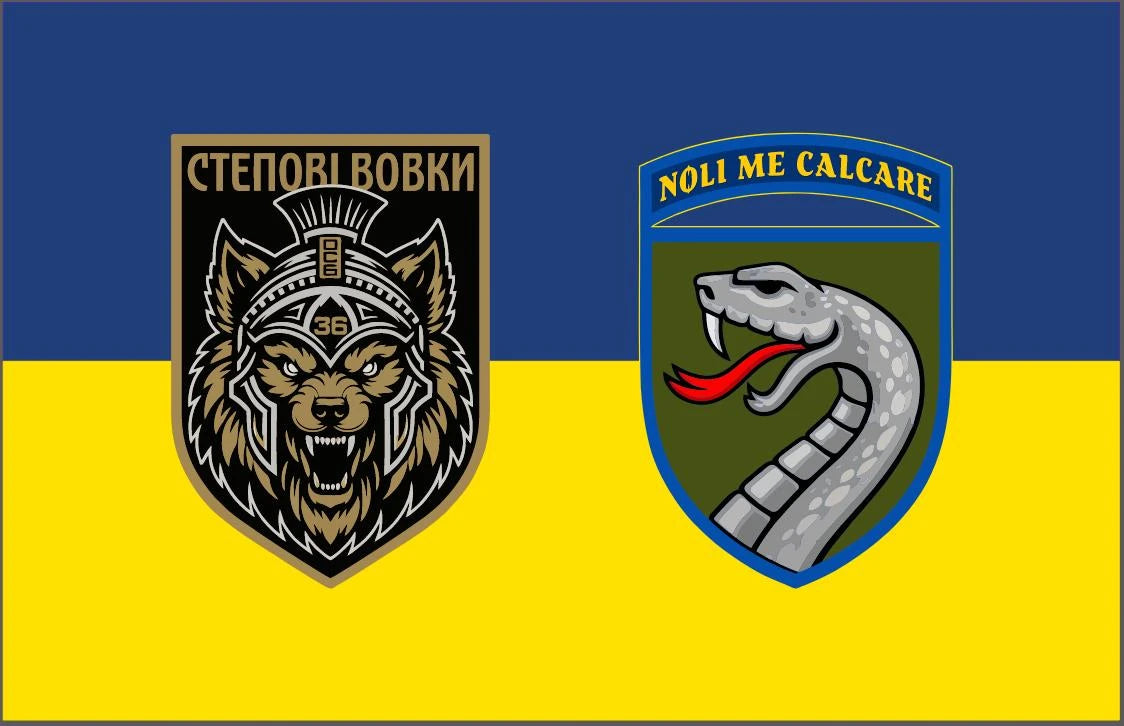 Прапор з принтом: емблема/фото 2 шт (ДТФ друк)