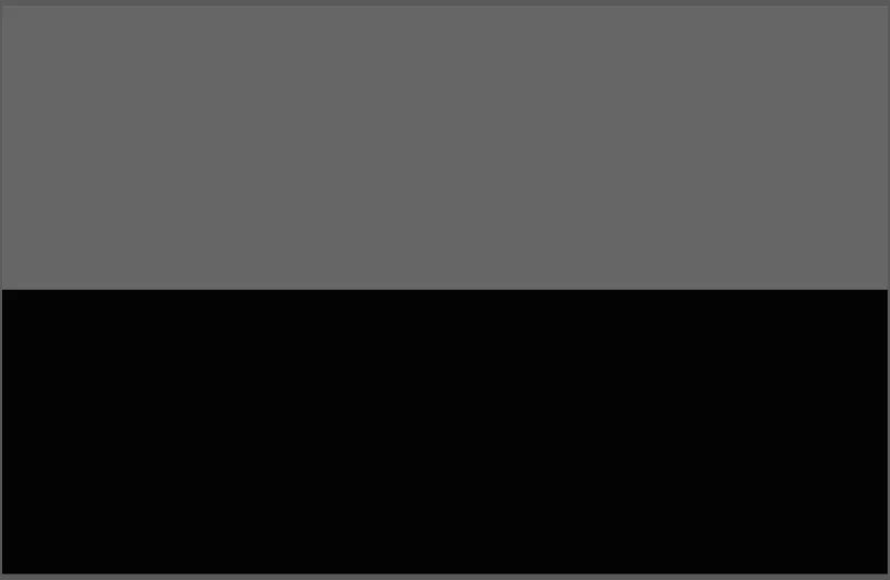 Прапор без принтів