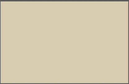 Прапор без принтів