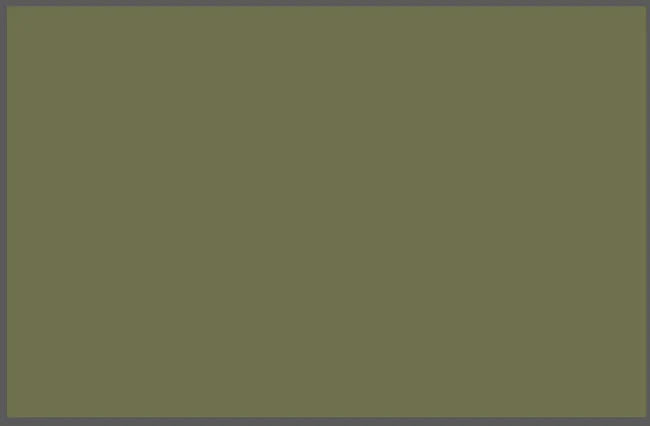 Прапор без принтів